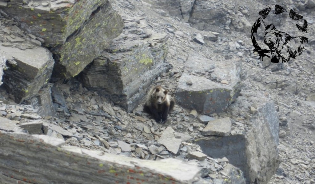 Introducing Erik  & his graduate field&nbsp;research